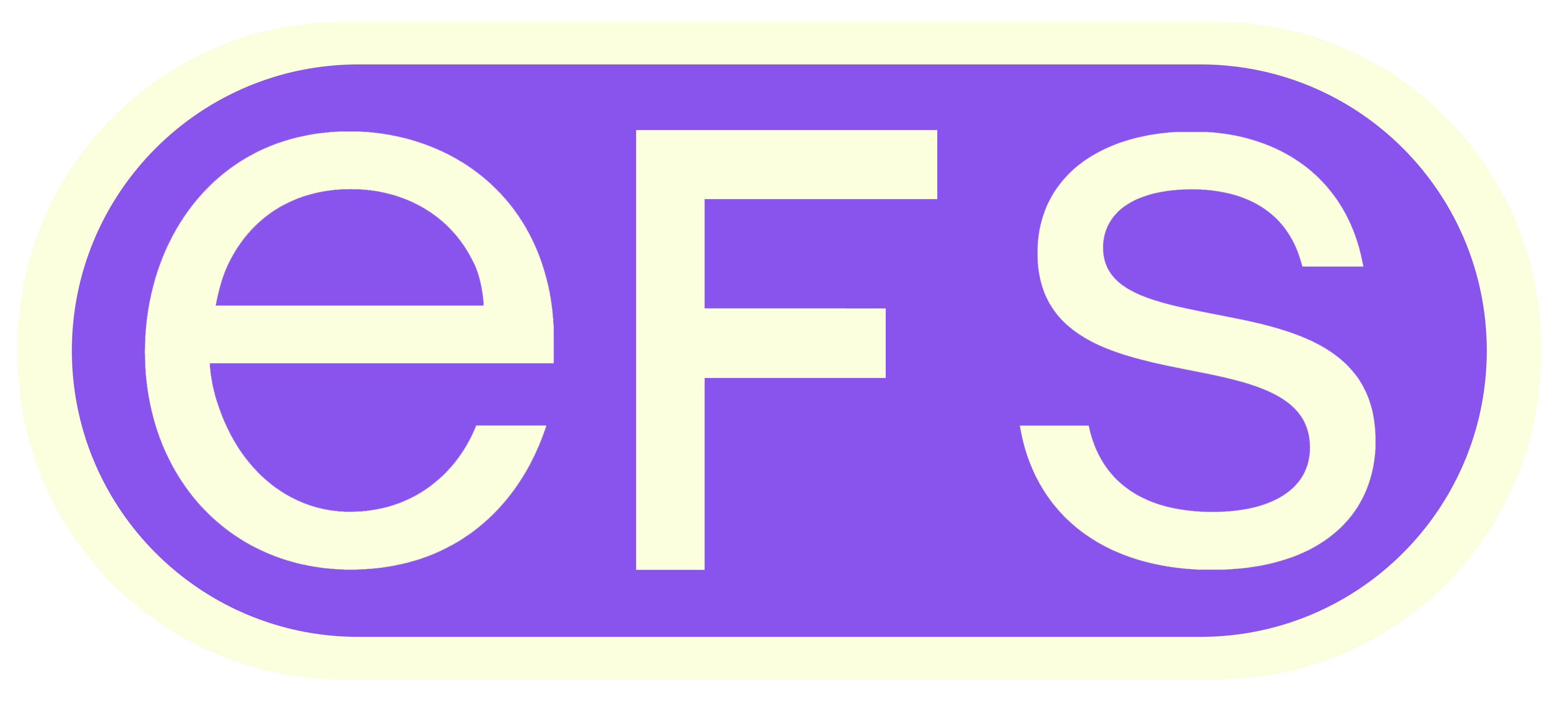 eFS ERP System Logo